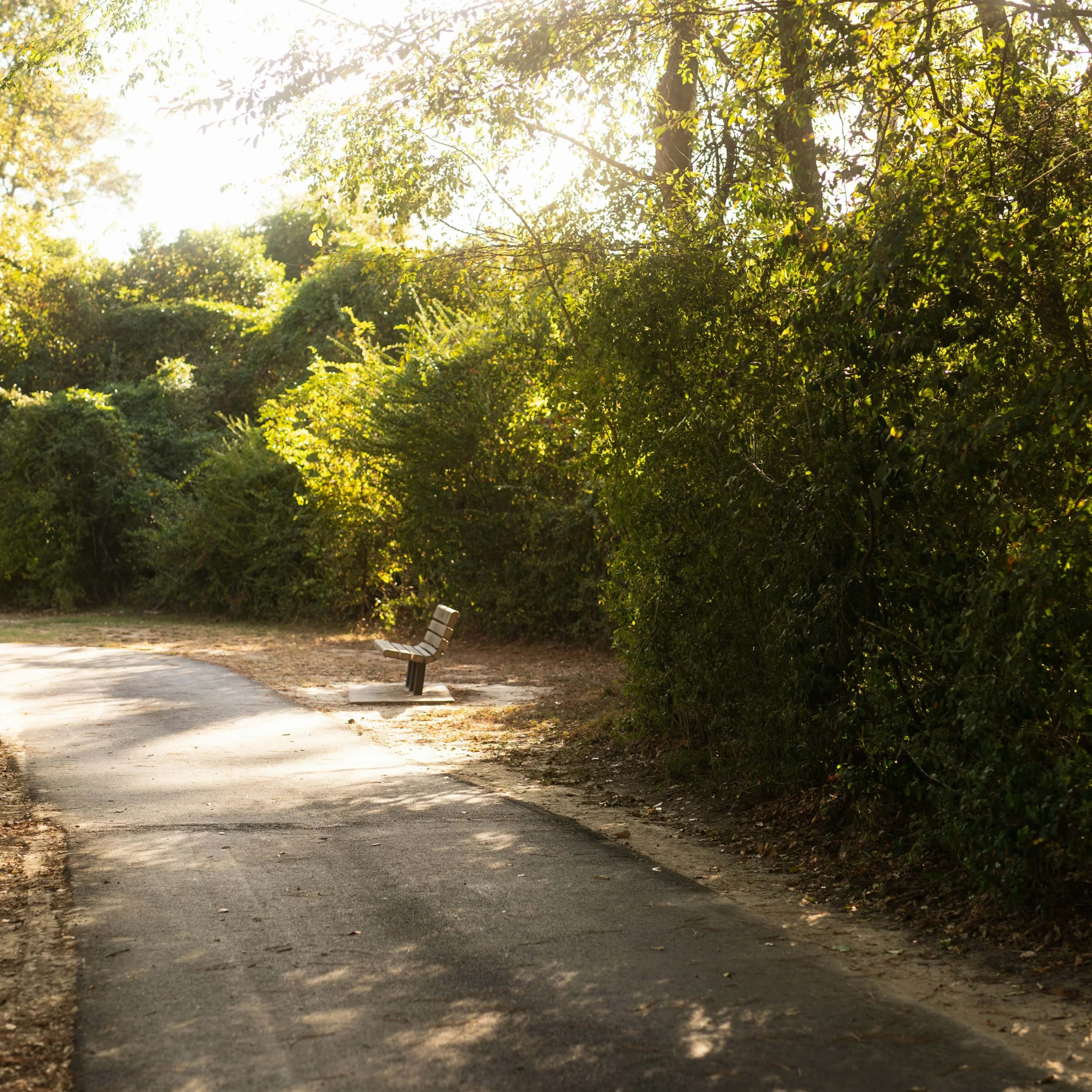La marche pour retrouver le calme intérieur