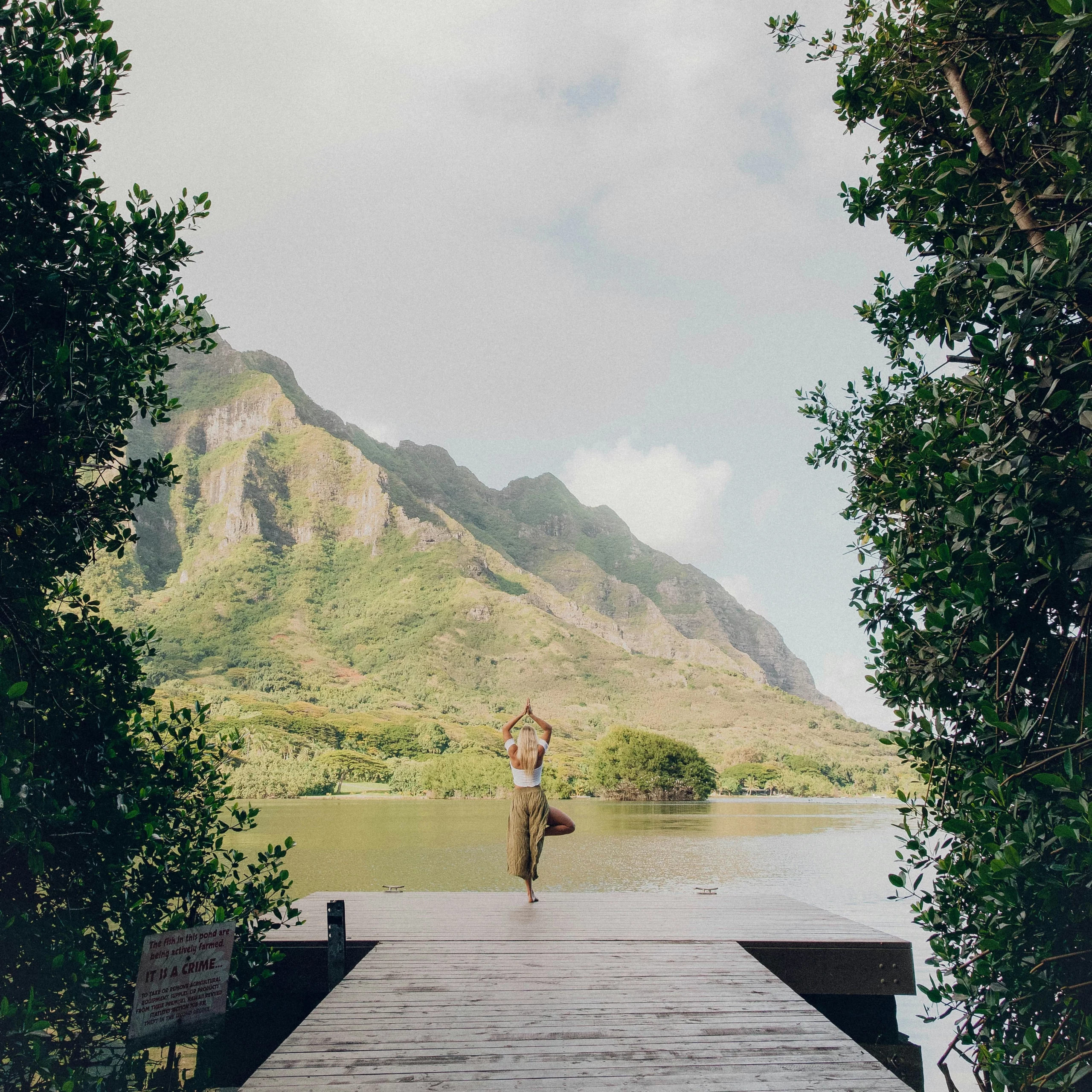Le yoga : se reconnecter à son corps et apaiser l’esprit